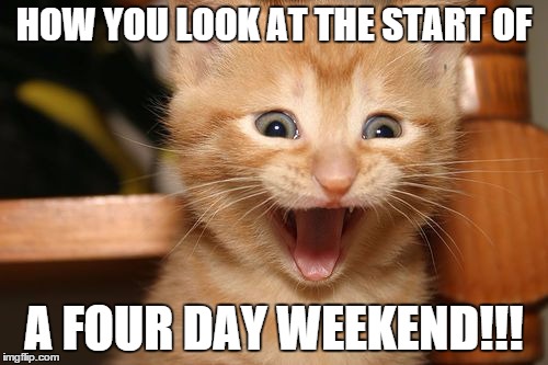 4 day weekend | HOW YOU LOOK AT THE START OF A FOUR DAY WEEKEND!!! | image tagged in long weekend,happy cat,vacation | made w/ Imgflip meme maker