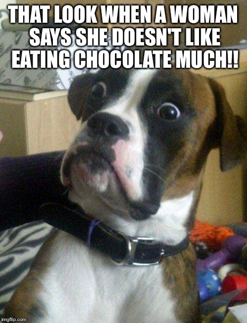 Blankie the Shocked Dog | THAT LOOK WHEN A WOMAN SAYS SHE DOESN'T LIKE EATING CHOCOLATE MUCH!! | image tagged in blankie the shocked dog | made w/ Imgflip meme maker
