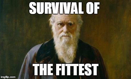 Charles Darwin | SURVIVAL OF THE FITTEST | image tagged in charles darwin | made w/ Imgflip meme maker