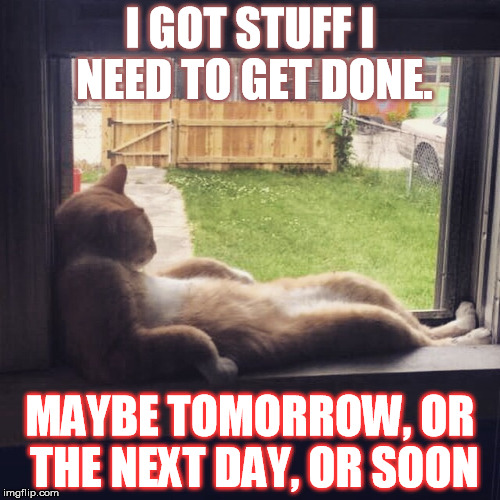 I GOT STUFF I NEED TO GET DONE. MAYBE TOMORROW, OR THE NEXT DAY, OR SOON | image tagged in chillin-cat | made w/ Imgflip meme maker