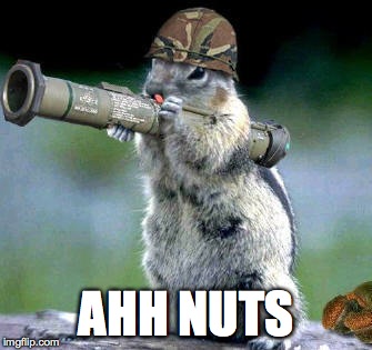 Bazooka Squirrel Meme | AHH NUTS | image tagged in memes,bazooka squirrel | made w/ Imgflip meme maker