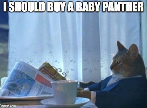 I Should Buy A Boat Cat | I SHOULD BUY A BABY PANTHER | image tagged in memes,i should buy a boat cat | made w/ Imgflip meme maker