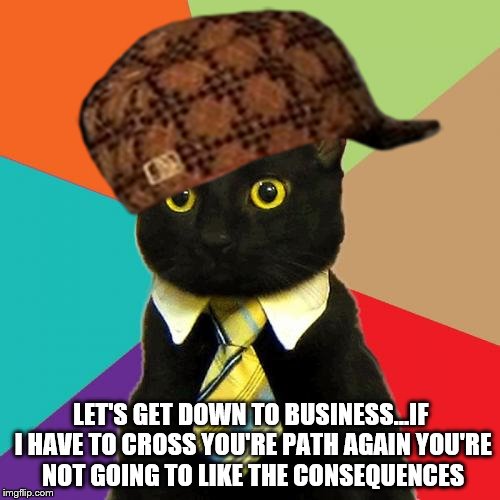 Dirty Business Cat | LET'S GET DOWN TO BUSINESS...IF I HAVE TO CROSS YOU'RE PATH AGAIN YOU'RE NOT GOING TO LIKE THE CONSEQUENCES | image tagged in memes,business cat,scumbag,better watch out,warning | made w/ Imgflip meme maker