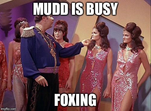 MUDD IS BUSY FOXING | image tagged in mudd's women | made w/ Imgflip meme maker