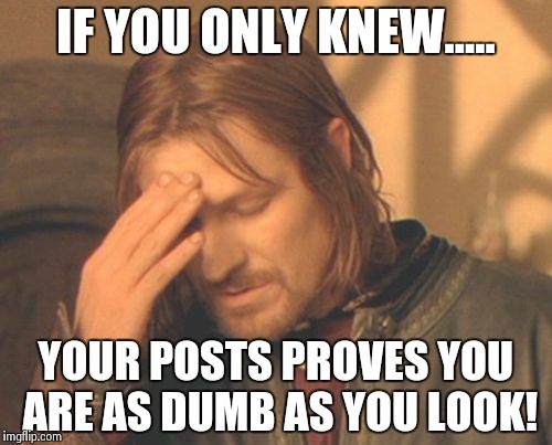 Frustrated Boromir | IF YOU ONLY KNEW..... YOUR POSTS PROVES YOU ARE AS DUMB AS YOU LOOK! | image tagged in memes,frustrated boromir | made w/ Imgflip meme maker