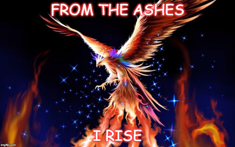 FROM THE ASHES I RISE | image tagged in phoenix rising | made w/ Imgflip meme maker