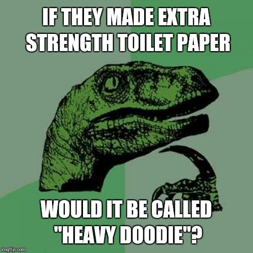 Philosoraptor Meme | IF THEY MADE EXTRA STRENGTH TOILET PAPER WOULD IT BE CALLED "HEAVY DOODIE"? | image tagged in memes,philosoraptor | made w/ Imgflip meme maker