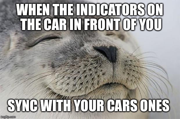 Satisfied Seal Meme | WHEN THE INDICATORS ON THE CAR IN FRONT OF YOU SYNC WITH YOUR CARS ONES | image tagged in memes,satisfied seal,AdviceAnimals | made w/ Imgflip meme maker