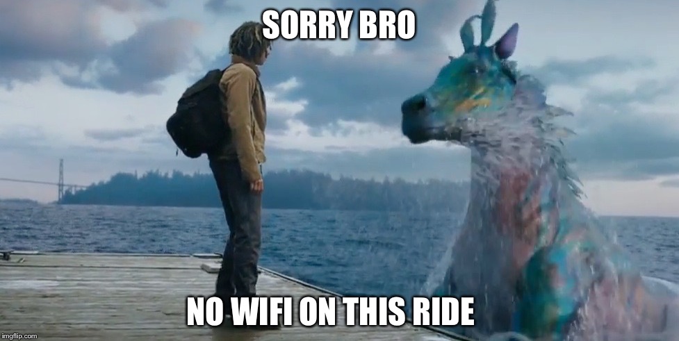 No Wifi | SORRY BRO NO WIFI ON THIS RIDE | image tagged in horse,cyclops | made w/ Imgflip meme maker