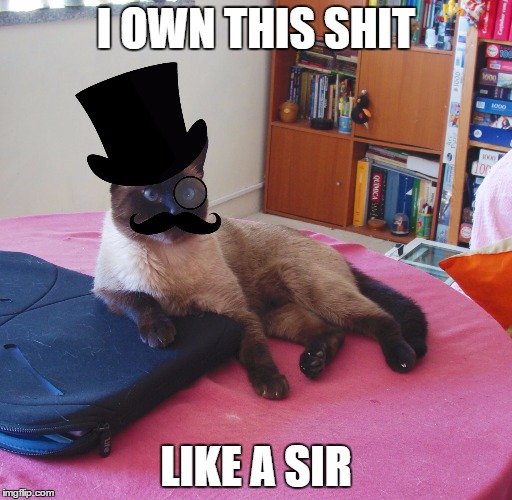 Like a Catsir | I OWN THIS SHIT LIKE A SIR | image tagged in like a catsir | made w/ Imgflip meme maker