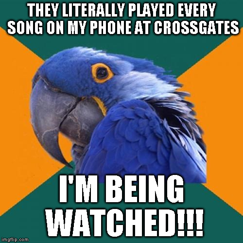 They even played the songs I have from video games! | THEY LITERALLY PLAYED EVERY SONG ON MY PHONE AT CROSSGATES I'M BEING WATCHED!!! | image tagged in memes,paranoid parrot | made w/ Imgflip meme maker