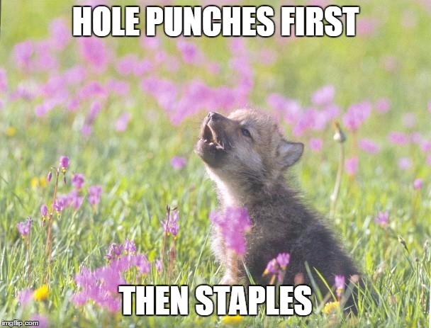 Baby Insanity Wolf | HOLE PUNCHES FIRST THEN STAPLES | image tagged in memes,baby insanity wolf | made w/ Imgflip meme maker