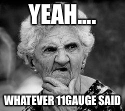 confused old lady | YEAH.... WHATEVER 11GAUGE SAID | image tagged in confused old lady | made w/ Imgflip meme maker