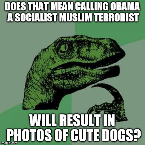 Philosoraptor Meme | DOES THAT MEAN CALLING OBAMA A SOCIALIST MUSLIM TERRORIST WILL RESULT IN PHOTOS OF CUTE DOGS? | image tagged in memes,philosoraptor | made w/ Imgflip meme maker