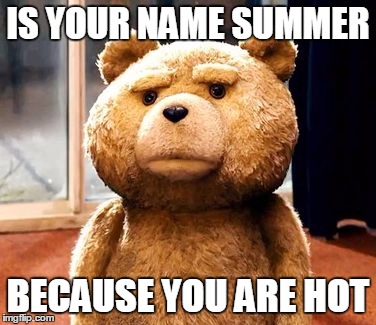 TED | IS YOUR NAME SUMMER BECAUSE YOU ARE HOT | image tagged in memes,ted | made w/ Imgflip meme maker