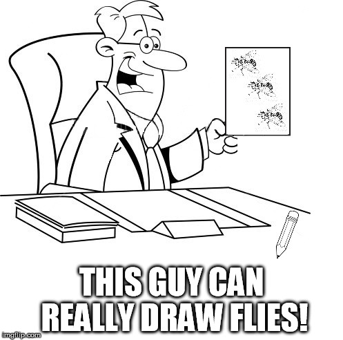 dry flies | THIS GUY CAN REALLY DRAW FLIES! | image tagged in dry,flies,drawing,draw flies | made w/ Imgflip meme maker