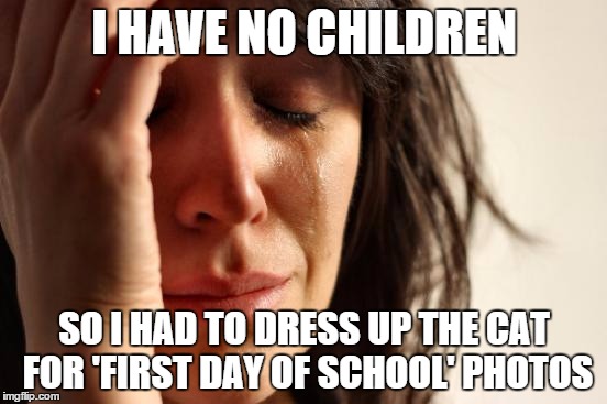 Cat Photos | I HAVE NO CHILDREN SO I HAD TO DRESS UP THE CAT FOR 'FIRST DAY OF SCHOOL' PHOTOS | image tagged in memes,first world problems,no children,first day of school,cats | made w/ Imgflip meme maker