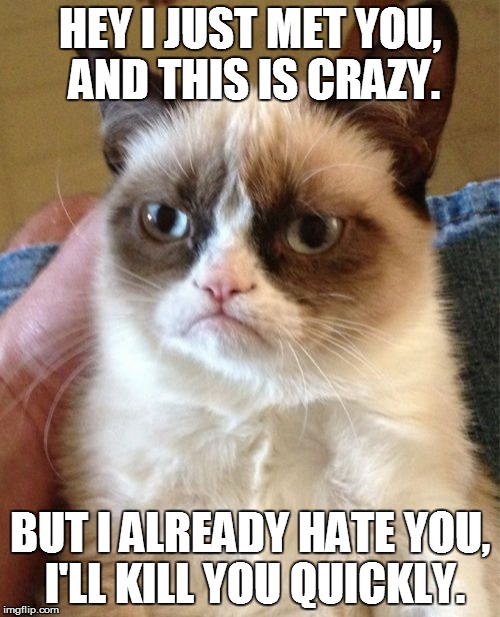 Grumpy Cat | HEY I JUST MET YOU, AND THIS IS CRAZY. BUT I ALREADY HATE YOU, I'LL KILL YOU QUICKLY. | image tagged in memes,grumpy cat | made w/ Imgflip meme maker