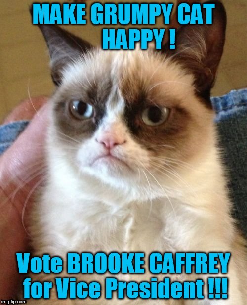 Grumpy Cat | MAKE GRUMPY CAT       HAPPY ! Vote BROOKE CAFFREY for Vice President !!! | image tagged in memes,grumpy cat | made w/ Imgflip meme maker