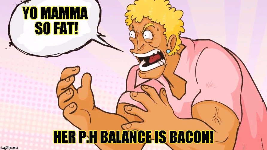 YO MOMMA! | YO MAMMA SO FAT! HER P.H BALANCE IS BACON! | image tagged in yo momma | made w/ Imgflip meme maker