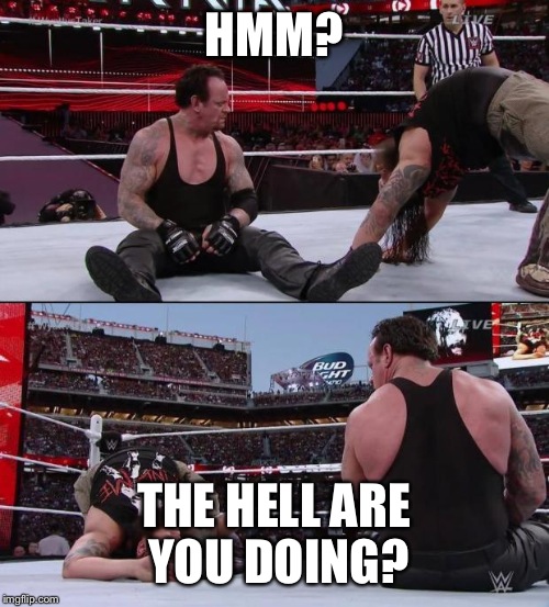 The Undertaker | HMM? THE HELL ARE YOU DOING? | image tagged in the undertaker | made w/ Imgflip meme maker