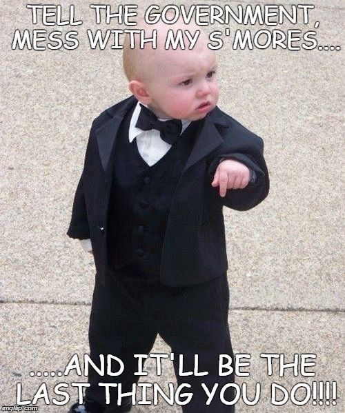 Baby Godfather Meme | TELL THE GOVERNMENT, MESS WITH MY S'MORES.... .....AND IT'LL BE THE LAST THING YOU DO!!!! | image tagged in memes,baby godfather | made w/ Imgflip meme maker