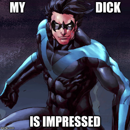 MY                              DICK IS IMPRESSED | image tagged in nightwing | made w/ Imgflip meme maker