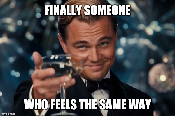 Leonardo Dicaprio Cheers Meme | FINALLY SOMEONE WHO FEELS THE SAME WAY | image tagged in memes,leonardo dicaprio cheers | made w/ Imgflip meme maker