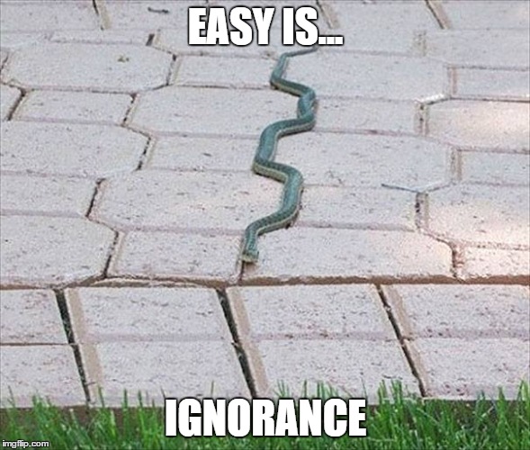 EASY IS... IGNORANCE | image tagged in ignorance,is,easy | made w/ Imgflip meme maker