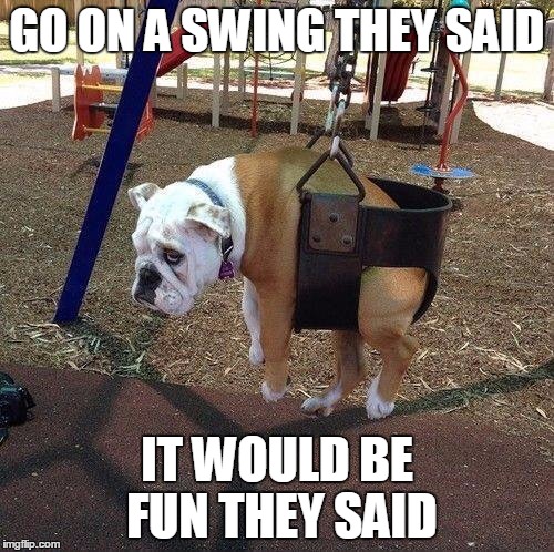 Baby swing dog  | GO ON A SWING THEY SAID IT WOULD BE FUN THEY SAID | image tagged in baby swing dog | made w/ Imgflip meme maker