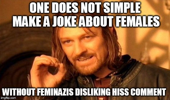 One Does Not Simply Meme | ONE DOES NOT SIMPLE MAKE A JOKE ABOUT FEMALES WITHOUT FEMINAZIS DISLIKING HISS COMMENT | image tagged in memes,one does not simply | made w/ Imgflip meme maker