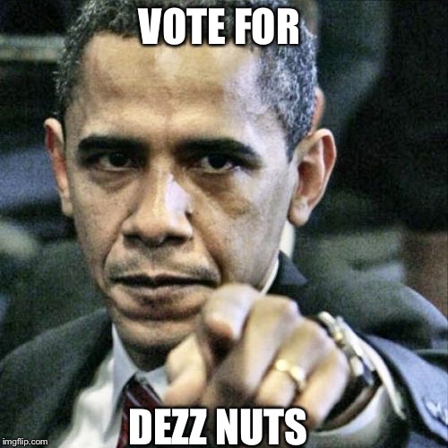 Pissed Off Obama Meme | VOTE FOR DEZZ NUTS | image tagged in memes,pissed off obama | made w/ Imgflip meme maker
