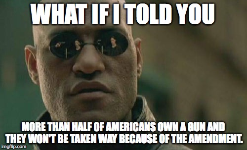 Matrix Morpheus Meme | WHAT IF I TOLD YOU MORE THAN HALF OF AMERICANS OWN A GUN AND THEY WON'T BE TAKEN WAY BECAUSE OF THE AMENDMENT. | image tagged in memes,matrix morpheus | made w/ Imgflip meme maker
