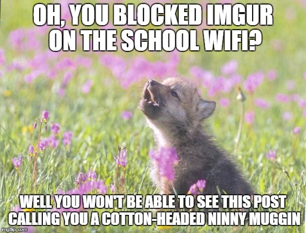 Baby Insanity Wolf | OH, YOU BLOCKED IMGUR ON THE SCHOOL WIFI? WELL YOU WON'T BE ABLE TO SEE THIS POST CALLING YOU A COTTON-HEADED NINNY MUGGIN | image tagged in memes,baby insanity wolf,AdviceAnimals | made w/ Imgflip meme maker