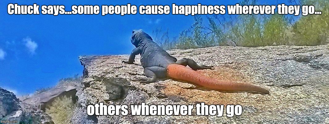 Chuckwalla wisdom | Chuck says...some people cause happiness wherever they go... others whenever they go | image tagged in chuck the chuckwalla says,funny,memes | made w/ Imgflip meme maker