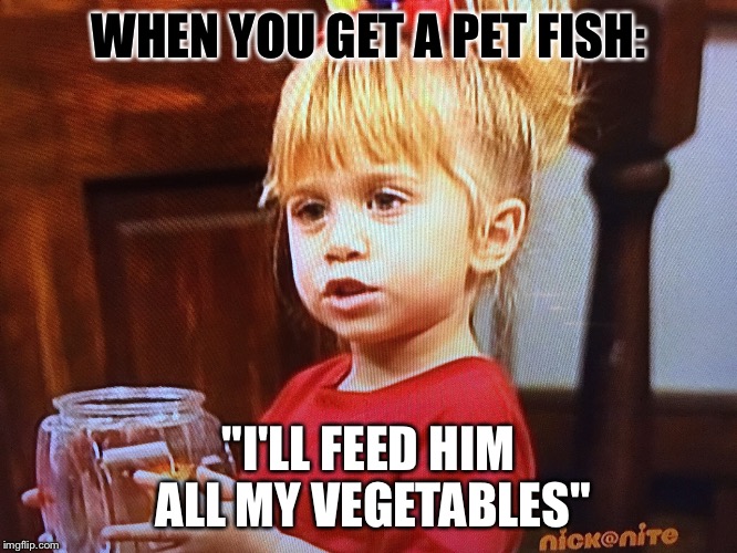 Michelle full house | WHEN YOU GET A PET FISH: "I'LL FEED HIM ALL MY VEGETABLES" | image tagged in michelle full house | made w/ Imgflip meme maker