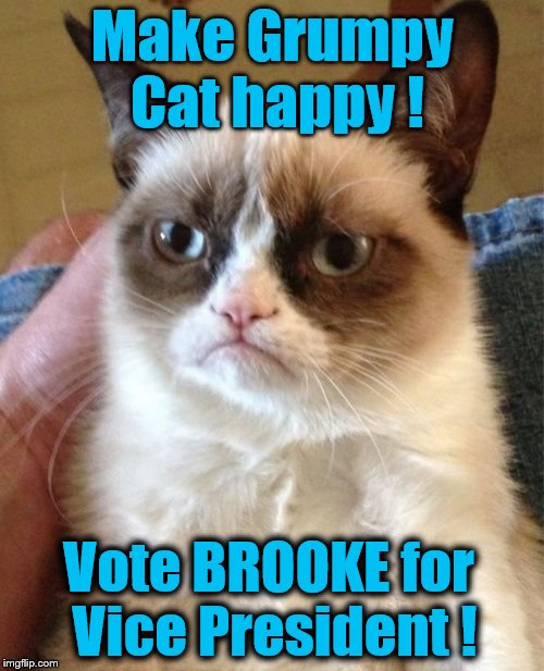 Grumpy Cat | Make Grumpy Cat happy ! Vote BROOKE for Vice President ! | image tagged in memes,grumpy cat | made w/ Imgflip meme maker