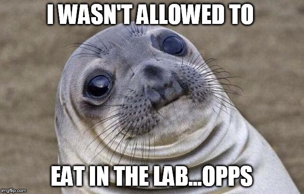 Awkward Moment Sealion | I WASN'T ALLOWED TO EAT IN THE LAB...OPPS | image tagged in memes,awkward moment sealion | made w/ Imgflip meme maker