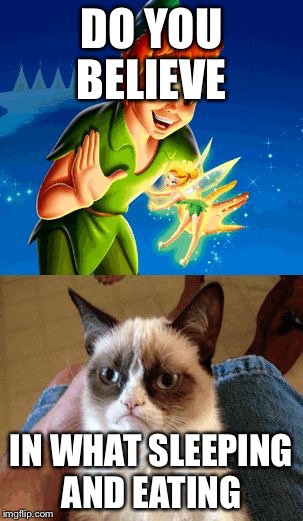 Grumpy Cat Does Not Believe | DO YOU BELIEVE IN WHAT SLEEPING AND EATING | image tagged in memes,grumpy cat does not believe | made w/ Imgflip meme maker