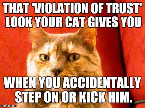 Suspicious Cat | THAT 'VIOLATION OF TRUST' LOOK YOUR CAT GIVES YOU WHEN YOU ACCIDENTALLY STEP ON OR KICK HIM. | image tagged in memes,suspicious cat | made w/ Imgflip meme maker