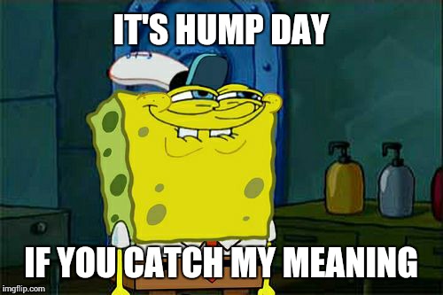 Don't You Squidward Meme | IT'S HUMP DAY IF YOU CATCH MY MEANING | image tagged in memes,dont you squidward | made w/ Imgflip meme maker