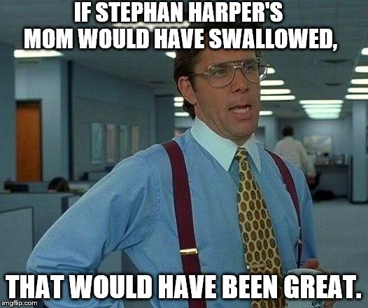 That Would Be Great | IF STEPHAN HARPER'S MOM WOULD HAVE SWALLOWED, THAT WOULD HAVE BEEN GREAT. | image tagged in memes,that would be great | made w/ Imgflip meme maker