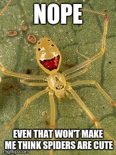 :D | NOPE EVEN THAT WON'T MAKE ME THINK SPIDERS ARE CUTE | image tagged in spiders,animals,memes,insects,nature,cute | made w/ Imgflip meme maker