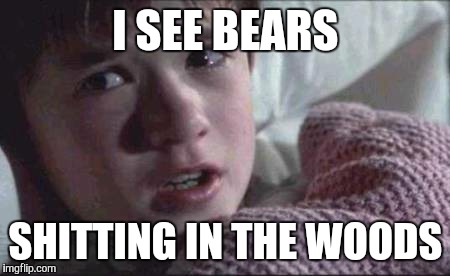 I See Dead People | I SEE BEARS SHITTING IN THE WOODS | image tagged in memes,i see dead people | made w/ Imgflip meme maker