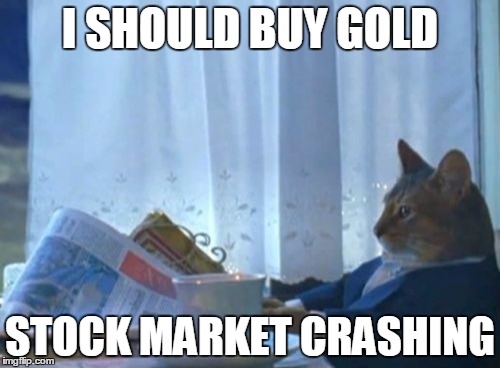 I Should Buy A Boat Cat | I SHOULD BUY GOLD STOCK MARKET CRASHING | image tagged in memes,i should buy a boat cat | made w/ Imgflip meme maker