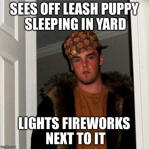 Scumbag Steve | SEES OFF LEASH PUPPY SLEEPING IN YARD LIGHTS FIREWORKS NEXT TO IT | image tagged in memes,scumbag steve | made w/ Imgflip meme maker