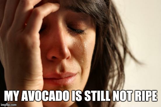 First World Problems Meme | MY AVOCADO IS STILL NOT RIPE | image tagged in memes,first world problems | made w/ Imgflip meme maker