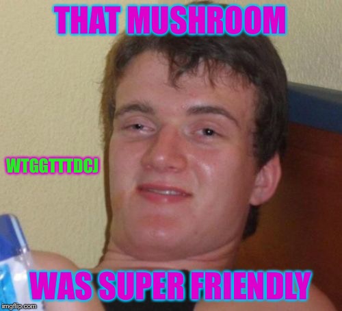 Super Friendly Mushroom | THAT MUSHROOM WAS SUPER FRIENDLY WTGGTTTDCJ | image tagged in memes,10 guy,avatar the last airbender,drugs,facebook | made w/ Imgflip meme maker