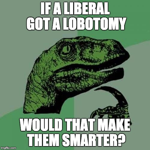 Philosoraptor Meme | IF A LIBERAL GOT A LOBOTOMY WOULD THAT MAKE THEM SMARTER? | image tagged in memes,philosoraptor | made w/ Imgflip meme maker