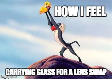 lion king | HOW I FEEL CARRYING GLASS FOR A LENS SWAP | image tagged in lion king | made w/ Imgflip meme maker
